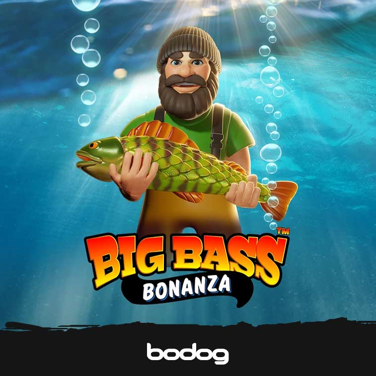 333 bet login