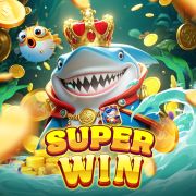 7799bet com